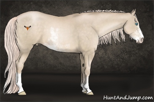 Horse Color:Chocolate Palomino Pearl Sabino