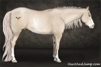 Horse Color:Chocolate Palomino Pearl Sabino