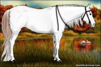 Horse Color:Bay Roan Blanket