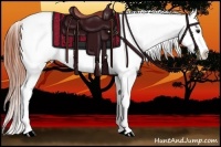 Horse Color:Bay Roan Dun Near Leopard
