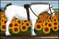 Horse Color:White Spotted Brown Roan Snowcap 