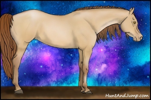 Horse Color:Bay Pearl Dun 