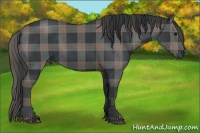Horse Color:Plaid  Black Sabino 