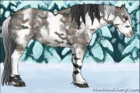 Horse Color:Plaid White Spotted Black