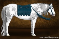 Horse Color:White Spotted Black Splash Rabicano