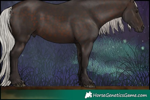 Horse Color:Silver Brown Rabicano