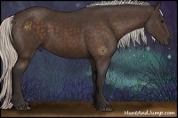 Horse Color:Silver Bay Rabicano