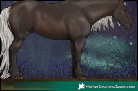 Horse Color:Silver Brown Rabicano 