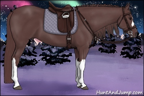 Horse Color:Chocolate Black 