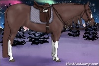 Horse Color:Chocolate Black 
