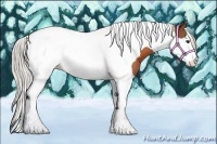 Horse Color:Silver Bay Tobiano