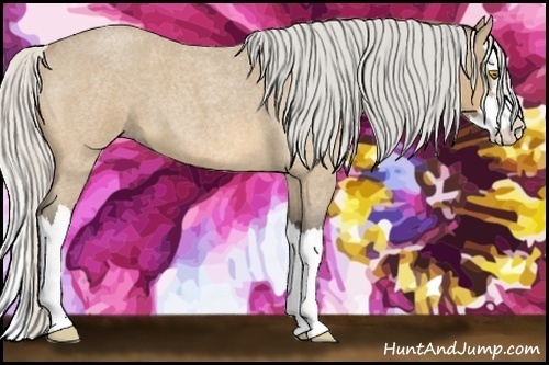 Horse Color:Silver Buckskin Roan Splash 