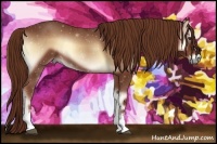 Horse Color:White Spotted Red Onyx 