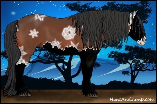 Horse Color:Bay Ice Splash 