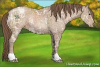 Horse Color:Black Ice Pearl 