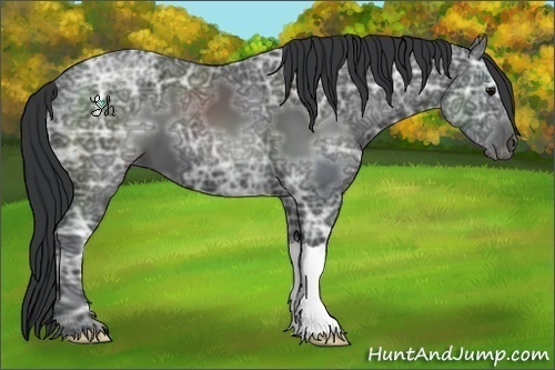 Horse Color:Black Ice 