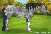 Horse Color:Black Ice 