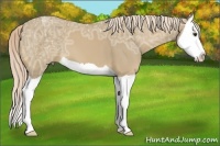 Horse Color:Palomino Ice Splash 