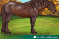 Horse Color:Chocolate Brown 