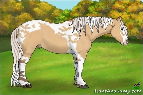 Horse Color:Silver Bay Dun Splash Tobiano 
