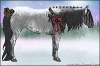 Horse Color:Blue Ice Roan 