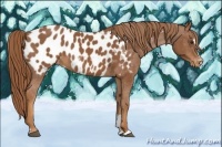 Horse Color:Chestnut Sabino Blanket 