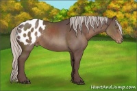 Horse Color:Chocolate Silver Black Blanket Rabicano