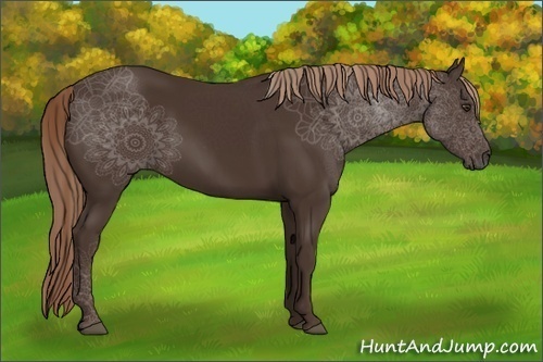 Horse Color:Liver Chestnut Rabicano 