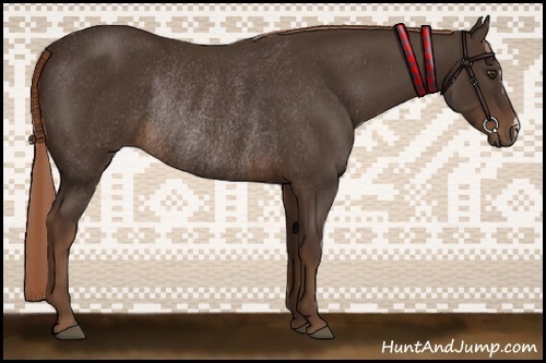 Horse Color:Liver Chestnut Rabicano 