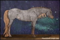 Horse Color:Liver Red Roan Rabicano