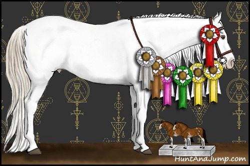 Horse Color:White Spotted Liver Chestnut Pearl Sabino Splash Appaloosa Rabicano 