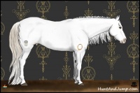 Horse Color:White Spotted Liver Chestnut Pearl Sabino Splash Appaloosa Rabicano 