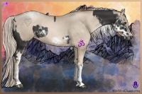 Horse Color:Liver Chestnut Sabino Frame Rabicano  and White Spotted Chocolate Palomino Pearl Tobiano Frame 