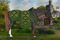 Horse Color:Liver Chestnut Rabicano 