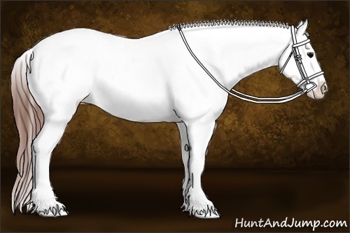 Horse Color:Brown Varnish