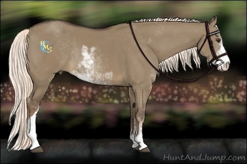 Horse Color:Liver Red Dun Sabino Rabicano 