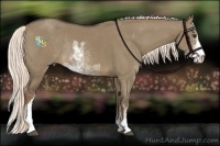 Horse Color:Liver Red Dun Sabino Rabicano 