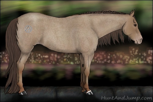 Horse Color:Classic Champagne Roan