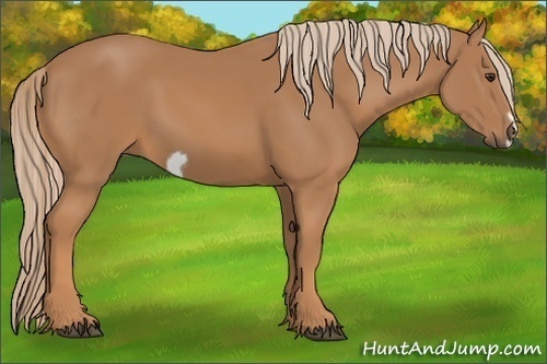 Horse Color:Chestnut Frame