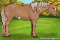 Horse Color:Chestnut Frame 