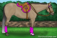 Horse Color:Buckskin Dun 