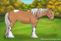 Horse Color:Silver Bay Tobiano Rabicano