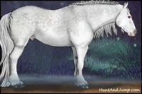 Horse Color:White Spotted Silver Grullo Chinchilla Ice Splash