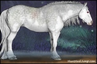 Horse Color:Silver Smoky Grullo Chinchilla Roan Splash 