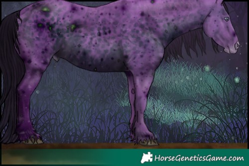Horse Color:ERROR: UNKNOWN ANOMALY