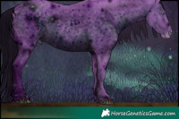 Horse Color:ERROR: UNKNOWN ANOMALY