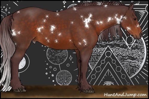 Horse Color:White Spotted Chocolate Bay 