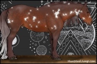 Horse Color:White Spotted Chocolate Bay 