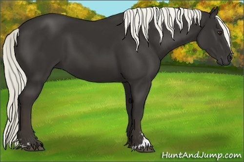 Horse Color:Liver Chestnut Sabino