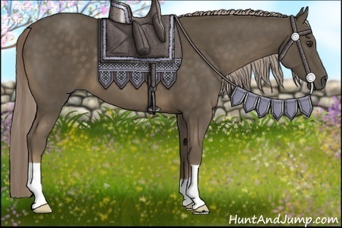 Horse Color:Chocolate Palomino 